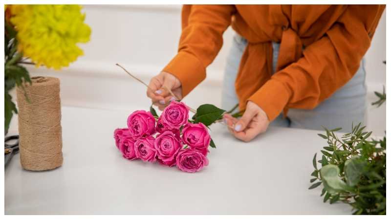 Boylecheloid Flower: Secrets, Uses, Care, and Unique Facts