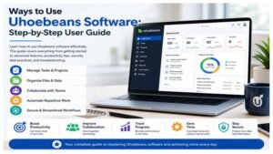 Ways to Use Uhoebeans Software: Step-by-Step User Guide