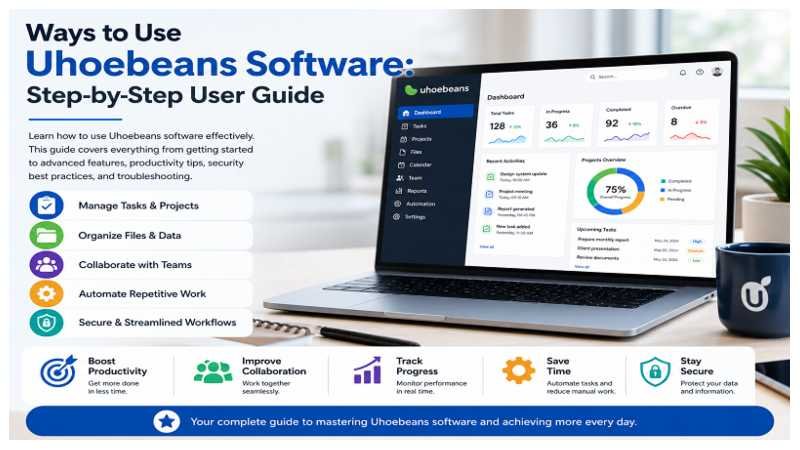 Ways to Use Uhoebeans Software: Step-by-Step User Guide